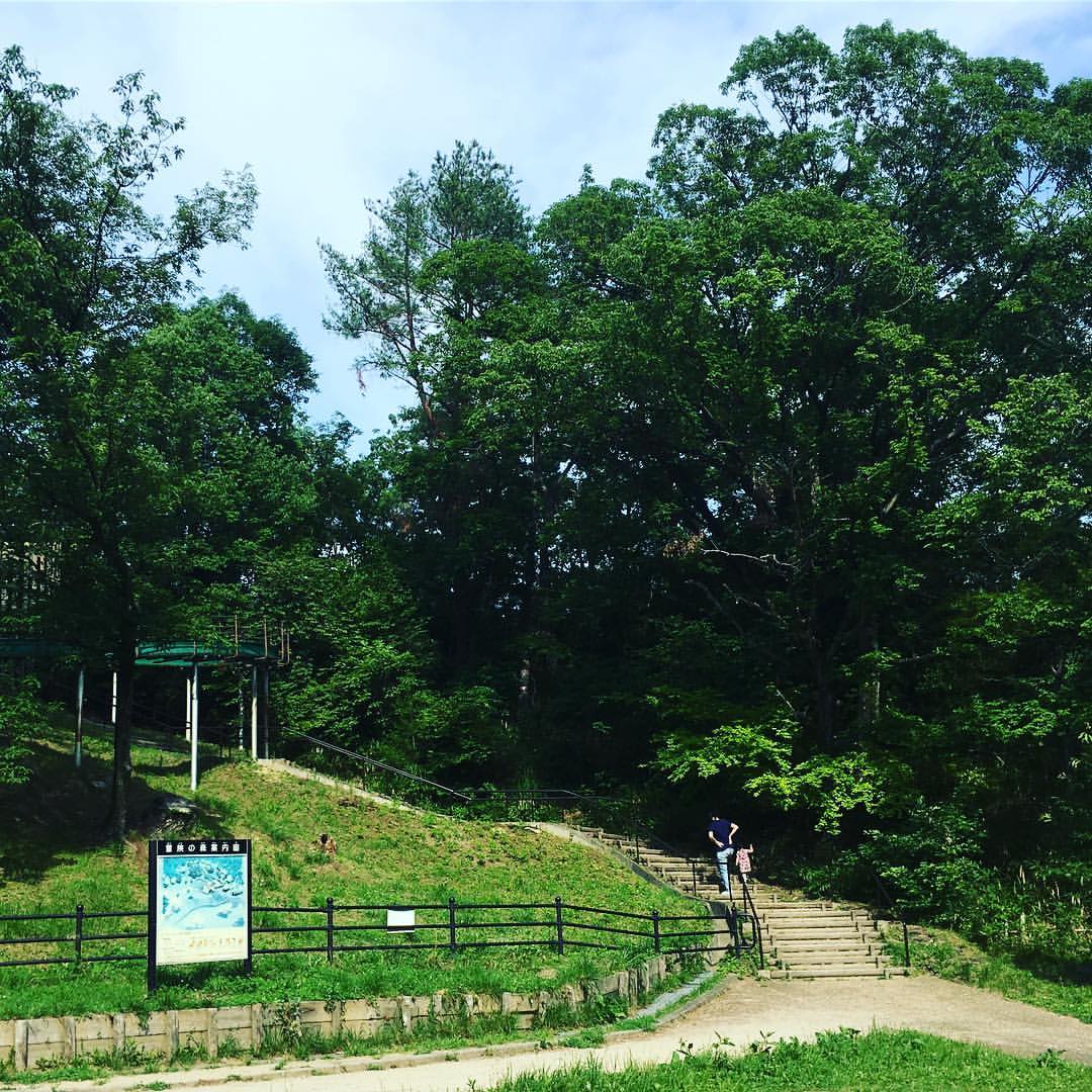 長さ150ｍの滑り台がある「千里中央公園」はファミリーの癒し公園